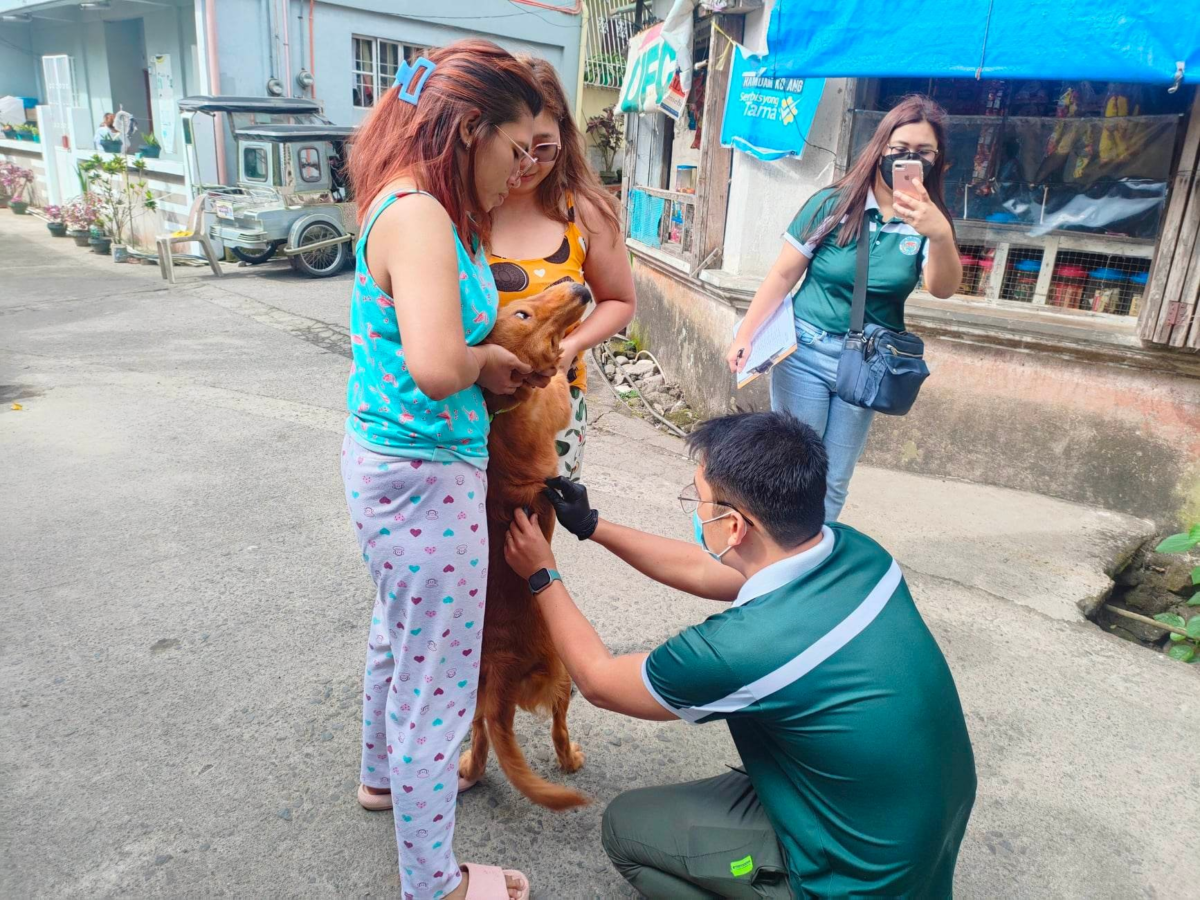 free-anti-rabies-vaccination-for-dogs-and-cats