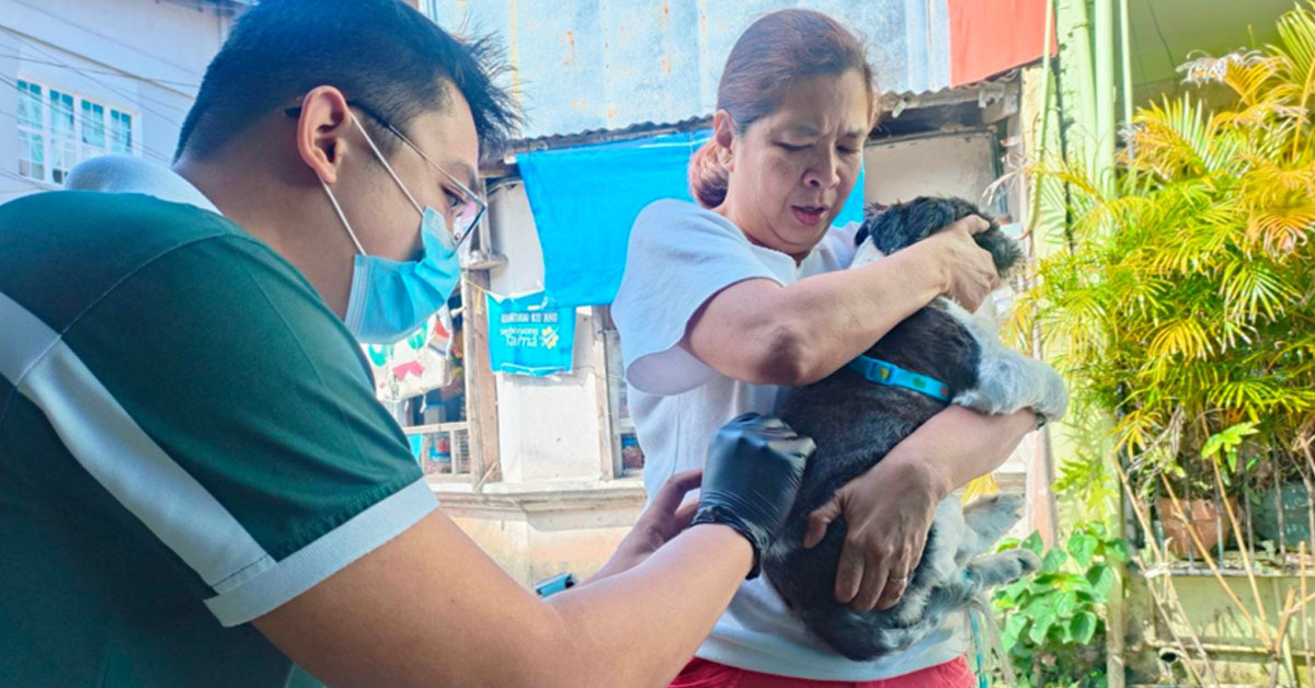 Free Anti Rabies Vaccination for dogs and cats