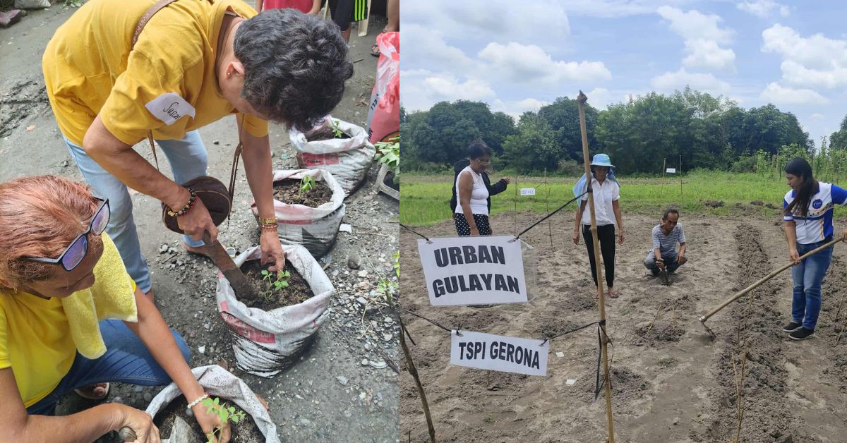 SAMBAYANIHAN GULAYAN PROGRAM